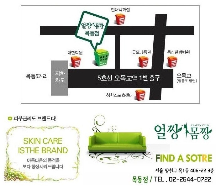 목동얼굴축소 피부에 좋은 은행!