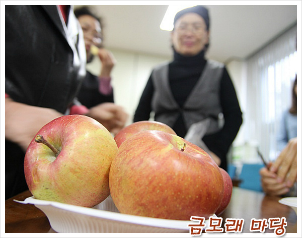 김제 용인농원 이미지
