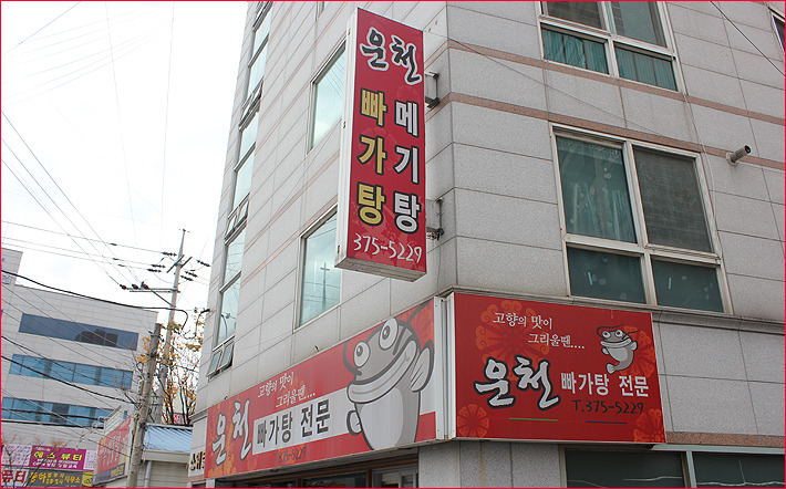 운천빠가탕 이미지