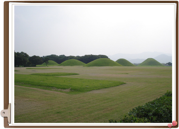 111D1E504D4F35392F85A8