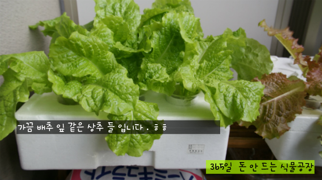 수경식품 이미지