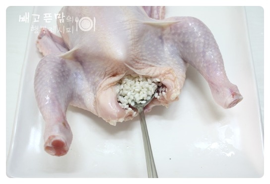 말복에 해먹은 여름 대표보양식.