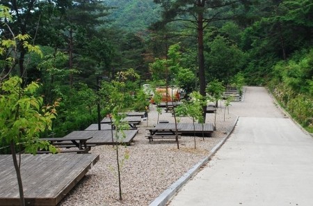 검봉산자연휴양림 이미지