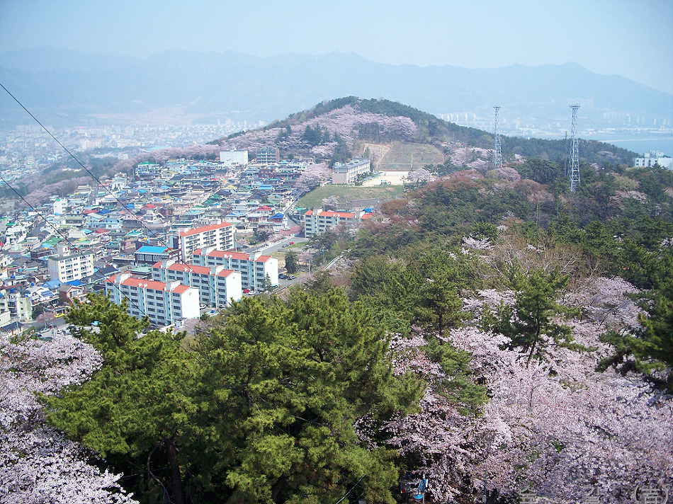 하나화원 이미지