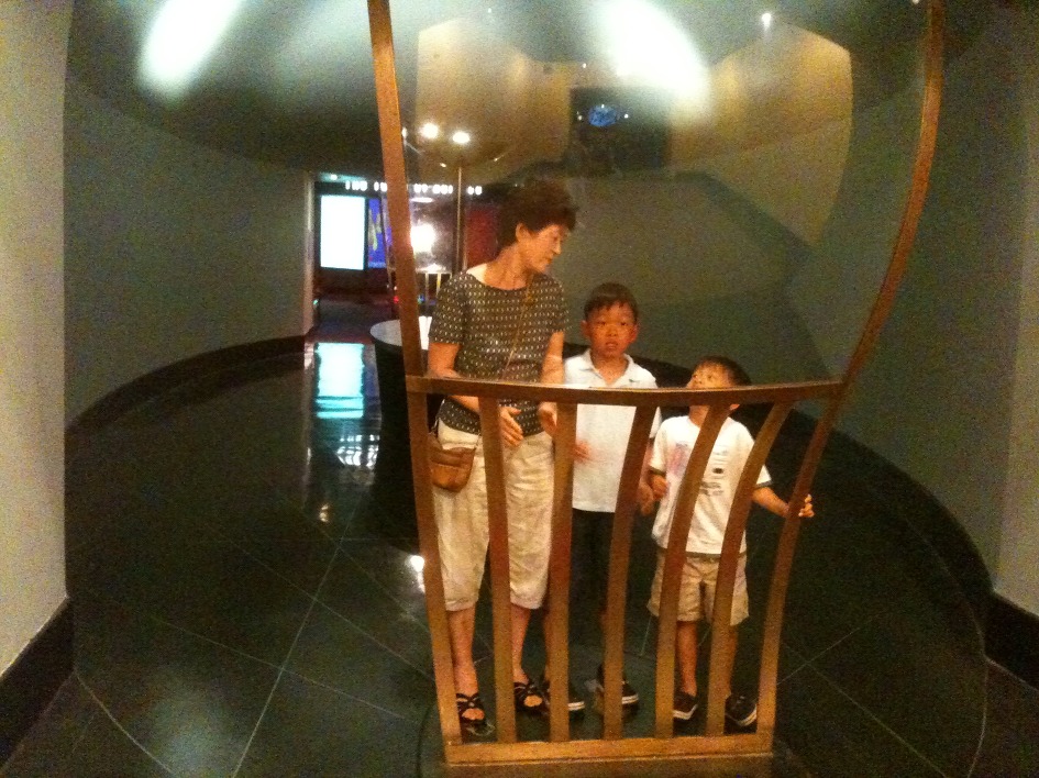 서부영화에 나오는 역마차와 비행기들의 이야기