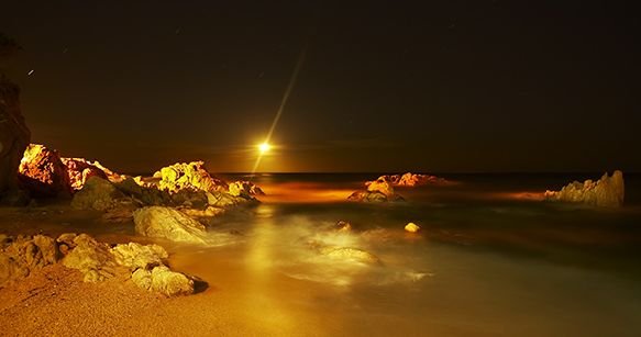 당신의 오늘은 정말 소중합니다