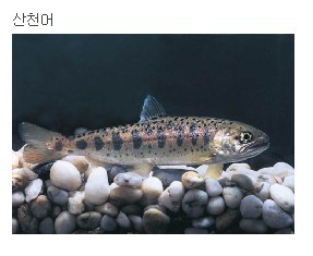 민물나라 이미지