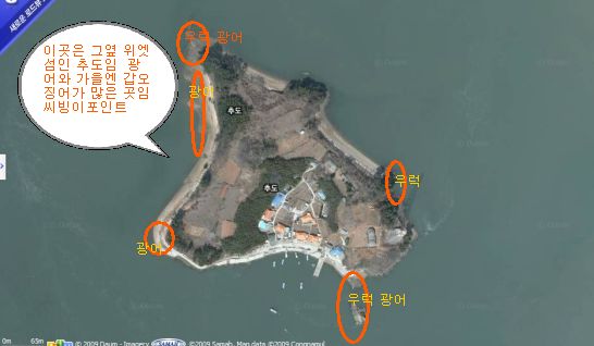 추도우럭 이미지