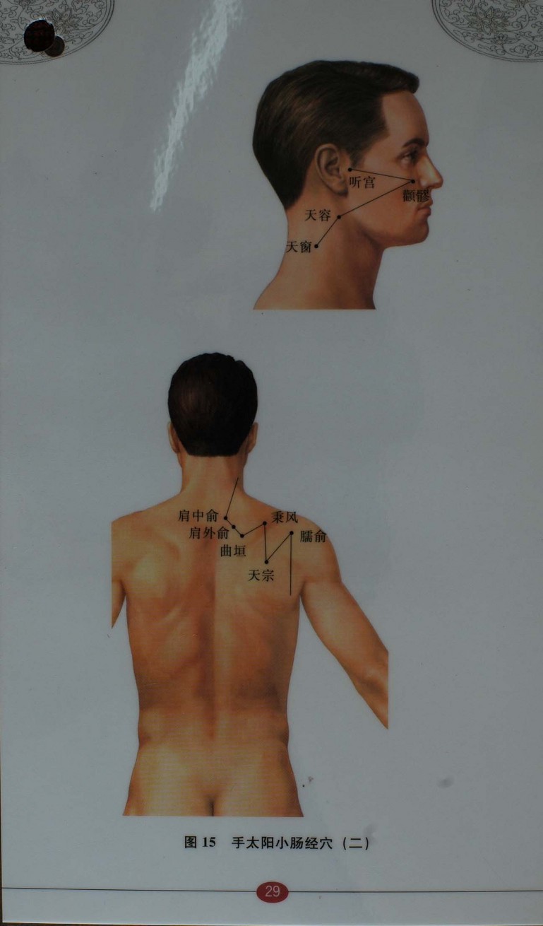  침구경혈자리