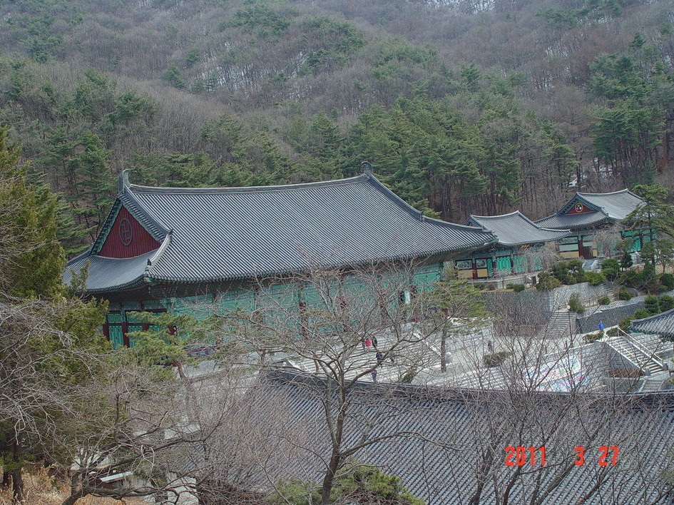 법인자연심 이미지