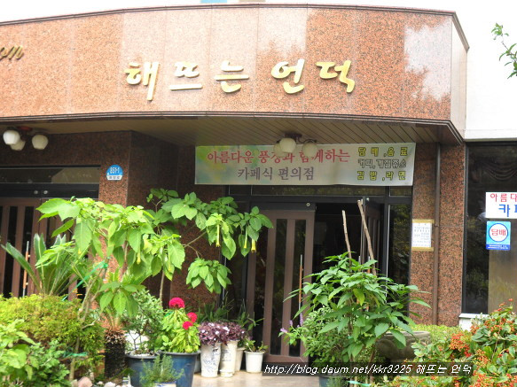 해뜨는언덕 이미지