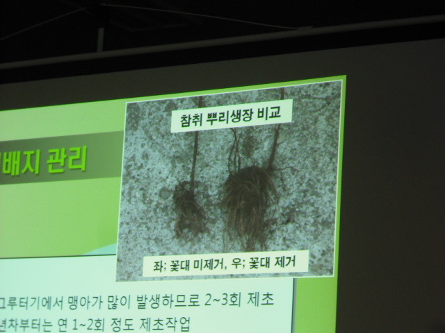 레이호 이미지