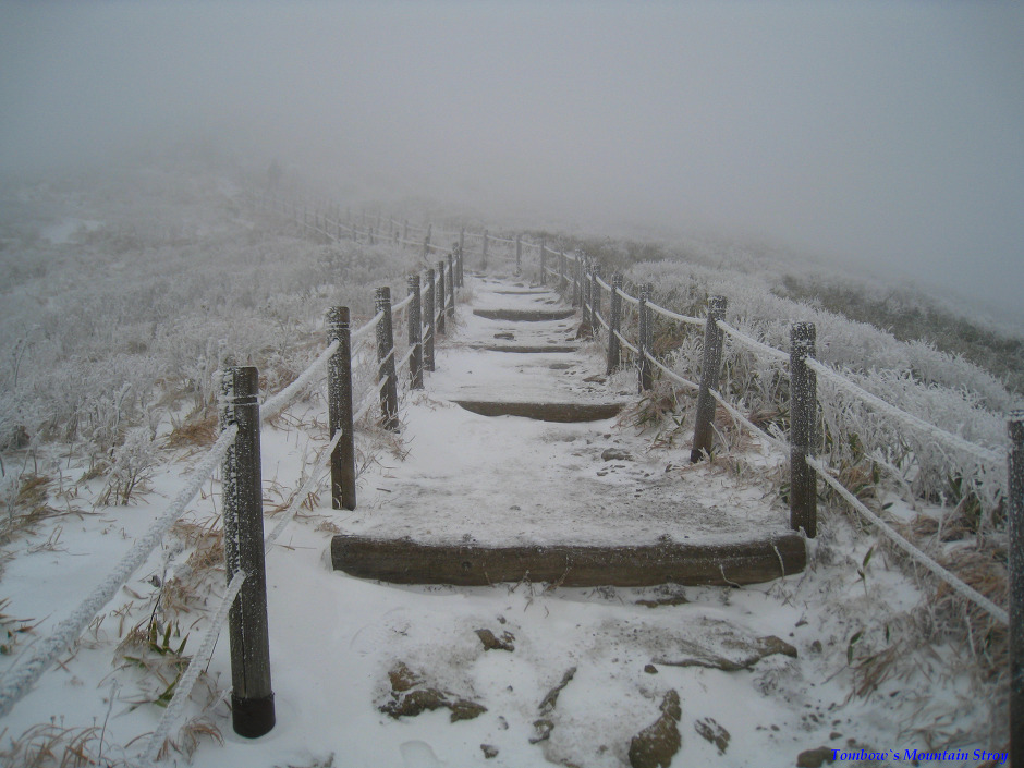 산행기 - ▒ 2009년 덕유산 송년산행