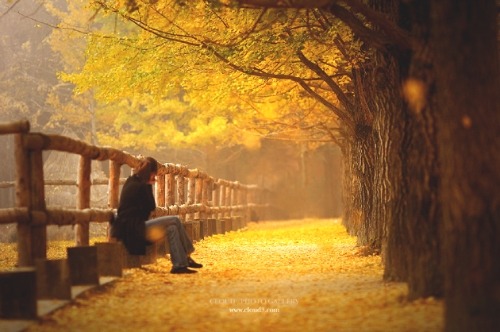 http://cfile201.uf.daum.net/image/157D2B344ECA35F821C9EB