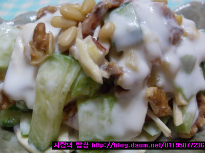 애벌레의 꿈을 닮은인삼채 오이말이