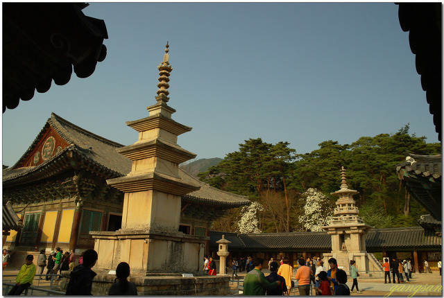 신라 3기(奇) 8괴(怪)와 3보(寶)