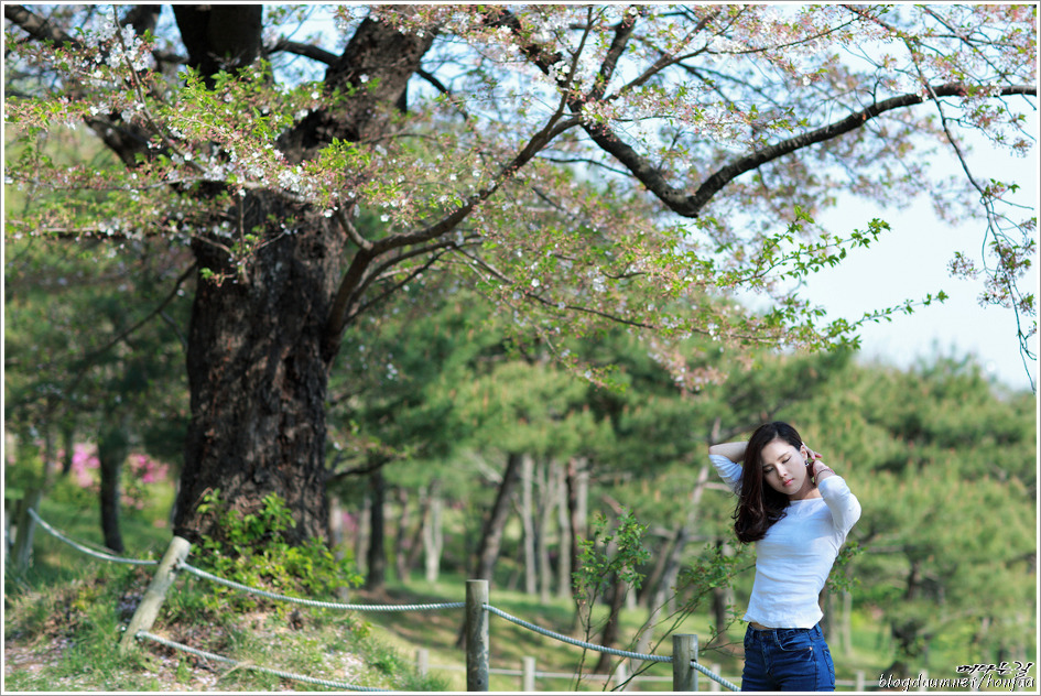 Lemon Tree - 박혜경
