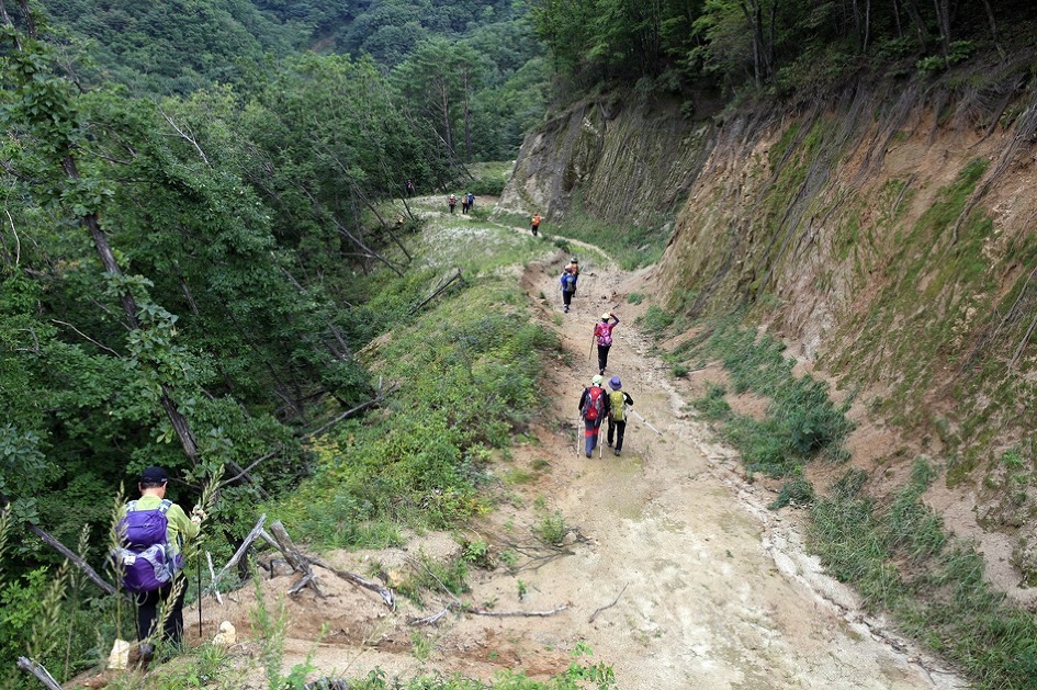 풍차갈비 이미지