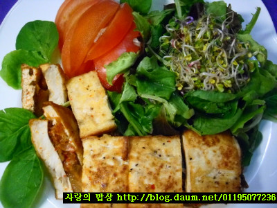 한국인의 입맛, 내가 접수한다!!-두부돼지고기김치샌드>_