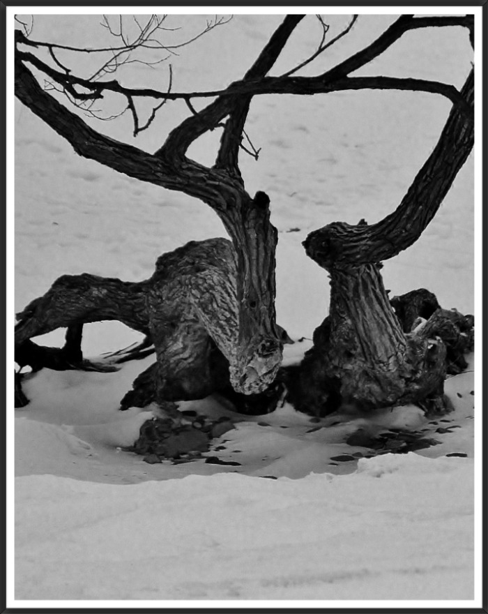 보살펴야 할 오래된 보물