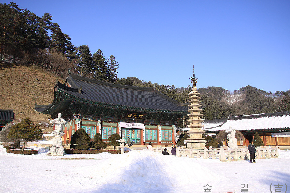 (주)패밀리투어 이미지