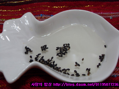 애벌레의 꿈을 닮은인삼채 오이말이