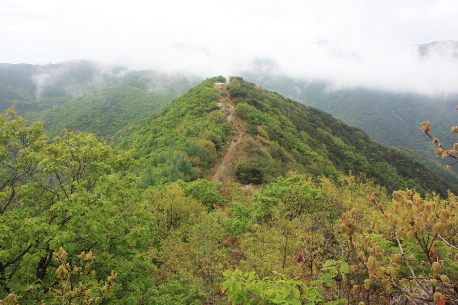 앞산공원 이미지
