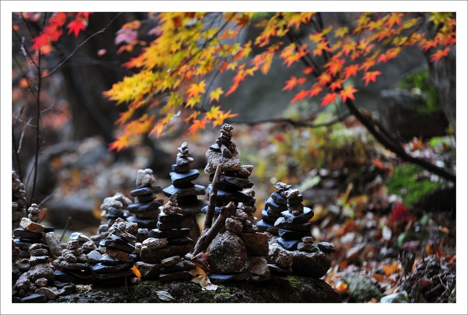 이정님의 멋진 추경