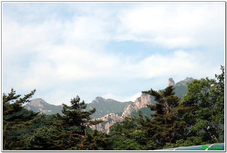 신흥사 이미지