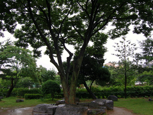 18606F594E06AB6027B9C5