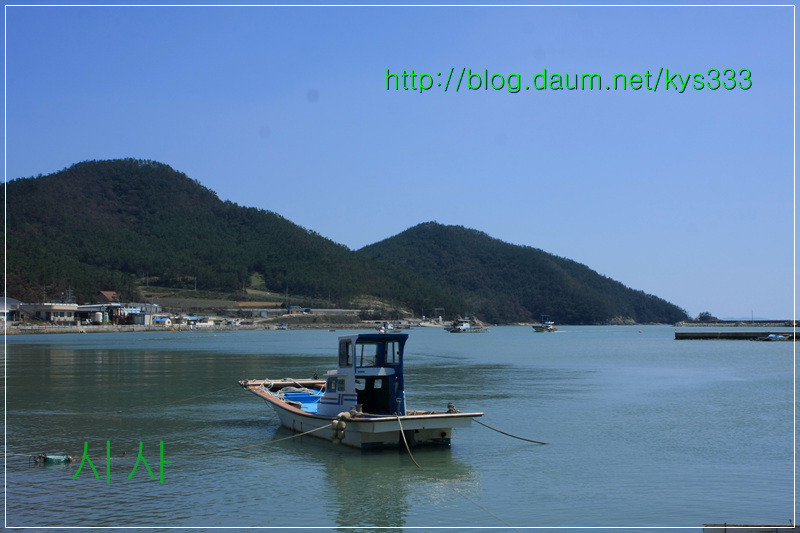 <진도맛집> 진도 굴포식당 복탕...2012. 8.31일