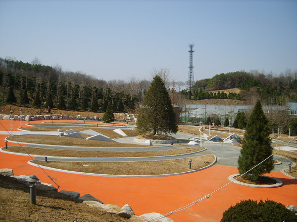 새이름 이미지