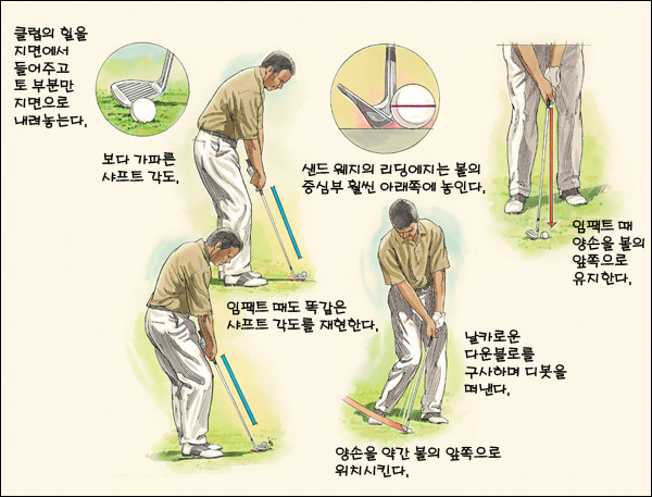 맨땅 이미지