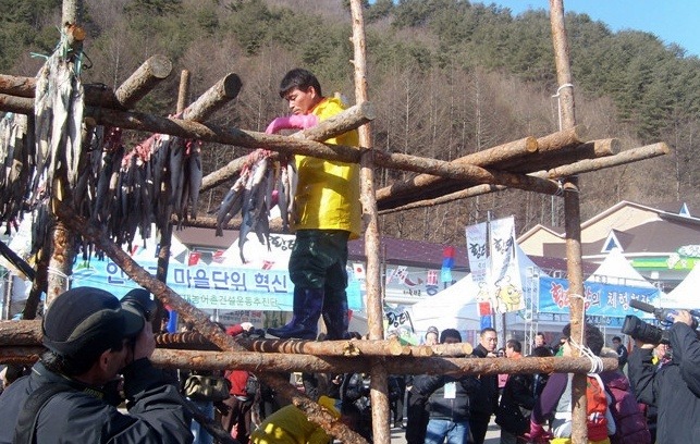 황태마을 이미지