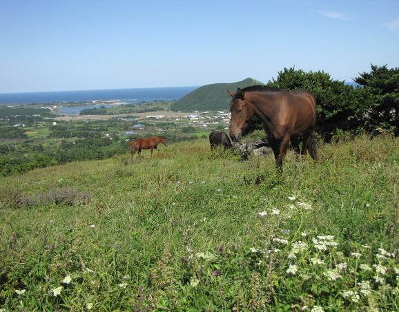 이미지 전체보기
