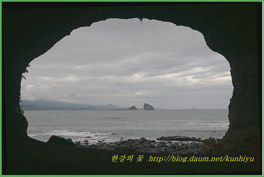 제주해안 풍경-한강의 꽃
