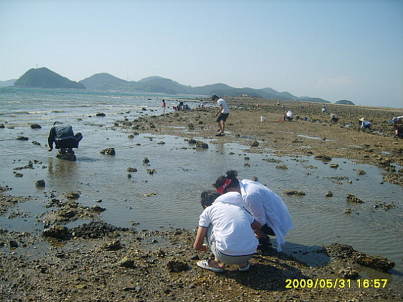 바지락캐기~~