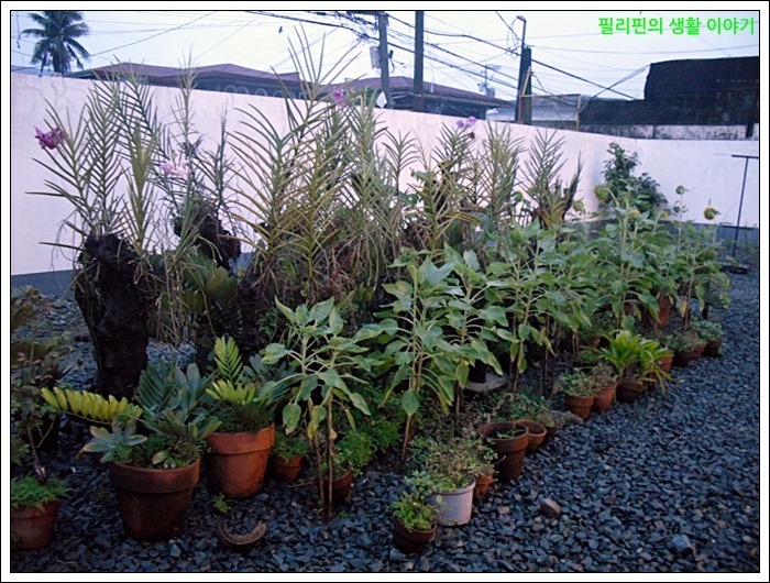해바라기주유소 이미지