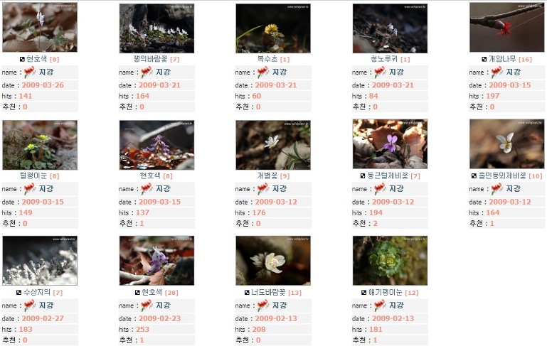 ~2010 야사모 사진게시 =173