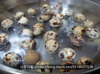 시골서 혼자지내실 친정엄마께! 9가지 사랑의반찬세트>_