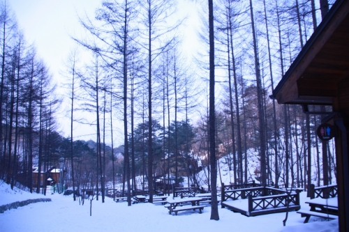 용화산자연휴양림 이미지