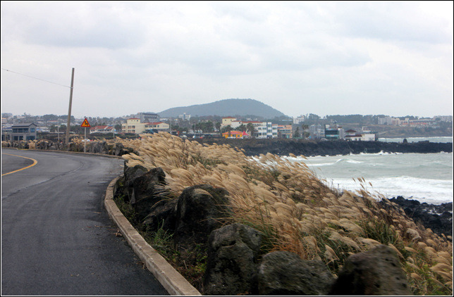 211621485459C9372FD4E2