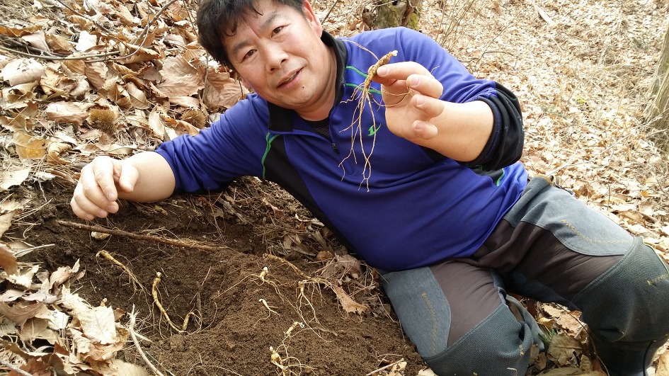 천사농장 이미지