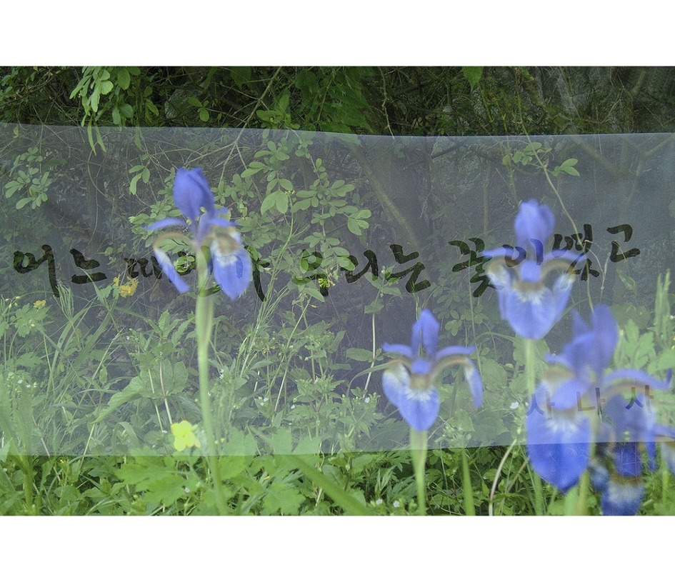內觀之二十二 : 무변여일(無變如一)