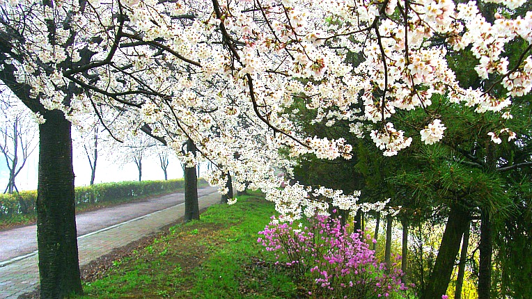 21667B40551A55A83EBDA2