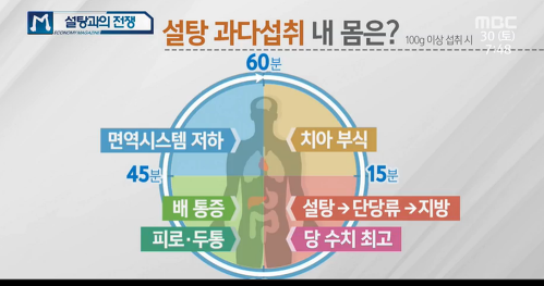 입에는 달콤! 몸 에는 독?//설탕과의 전쟁