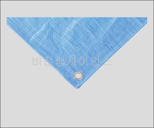 블루시트,BLUE SHEET