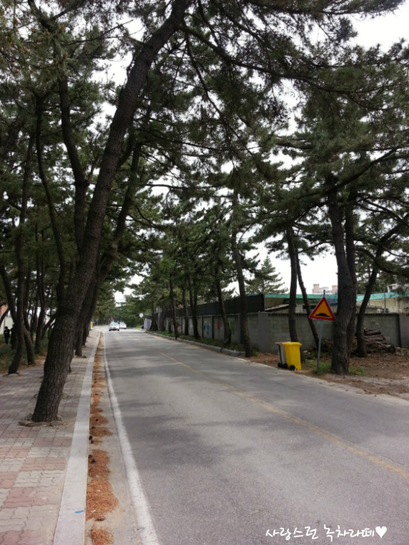 송정해변막국수 이미지