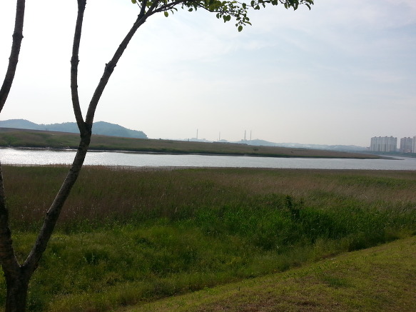 역시나 그냥 달려보고 느껴보는 안산 속 자전거투어 - 안산 자전거 아우토반 (안산갈대습지공원)2