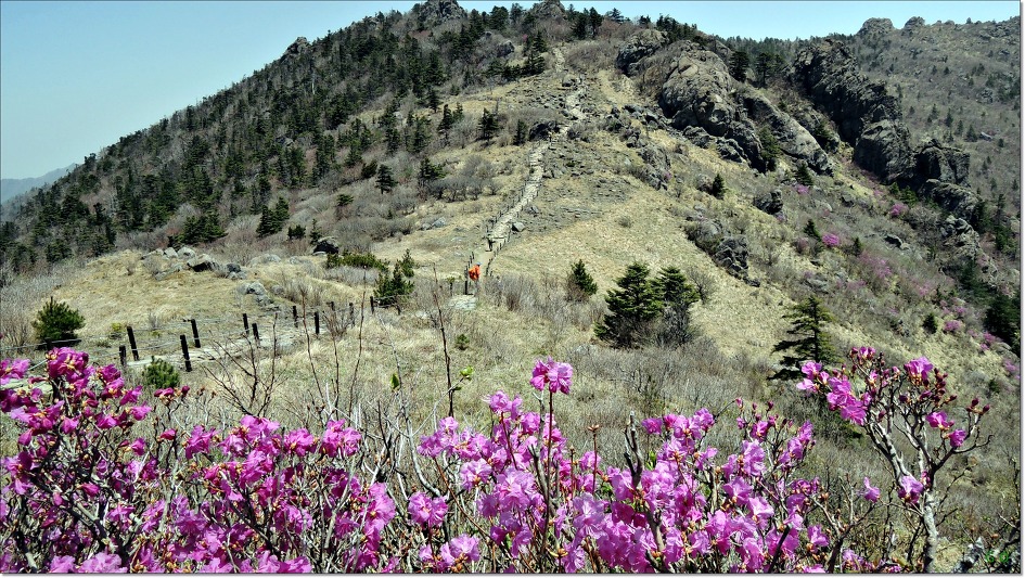 지리산서바이벌 이미지